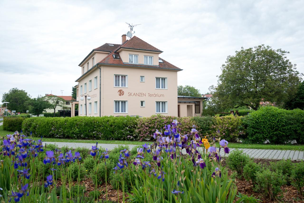 Hotel Skanzen Depandance 韦莱赫拉德 外观 照片